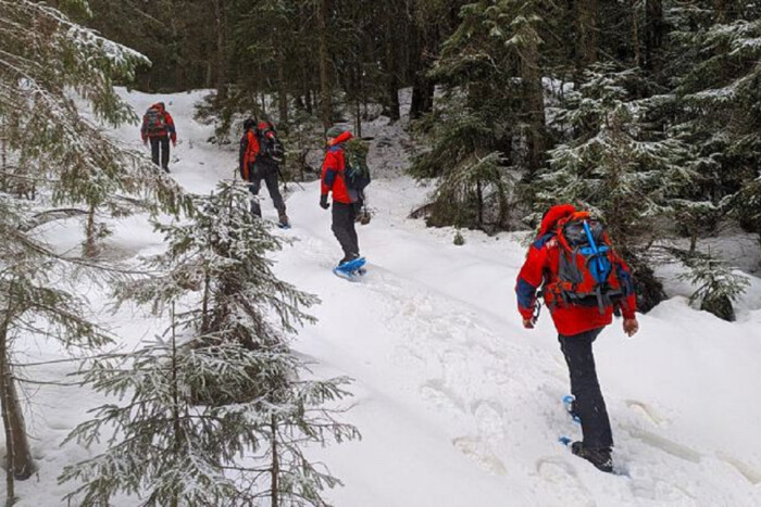 Походи краще відкласти: у горах зберігається сніголавинна небезпека