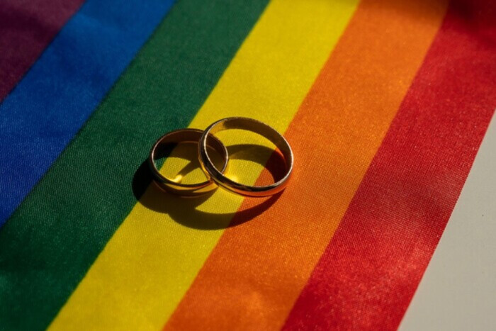 Правительство планирует узаконить однополые партнерства – депутат