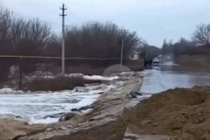 Российскую деревню затопило коровьими фекалиями (видео)