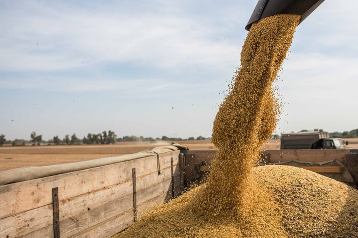 Болгарія слідом за Угорщиною та Польщею може заборонити імпорт українського зерна