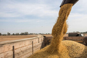Запрет на импорт зерна: Еврокомиссия стала в защиту Украины