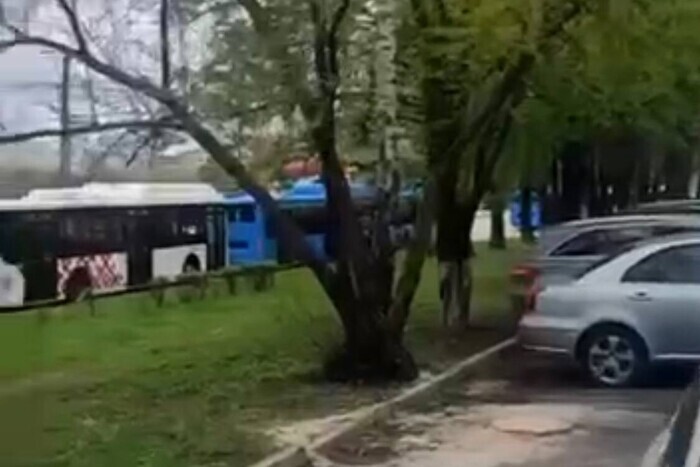 В Белгороде на месте взрыва авиабомбы найдена еще одна: она не разорвалась (видео)
