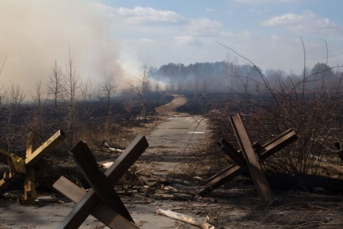 На Херсонщині росіяни знищують Олешківський ліс – Хлань  