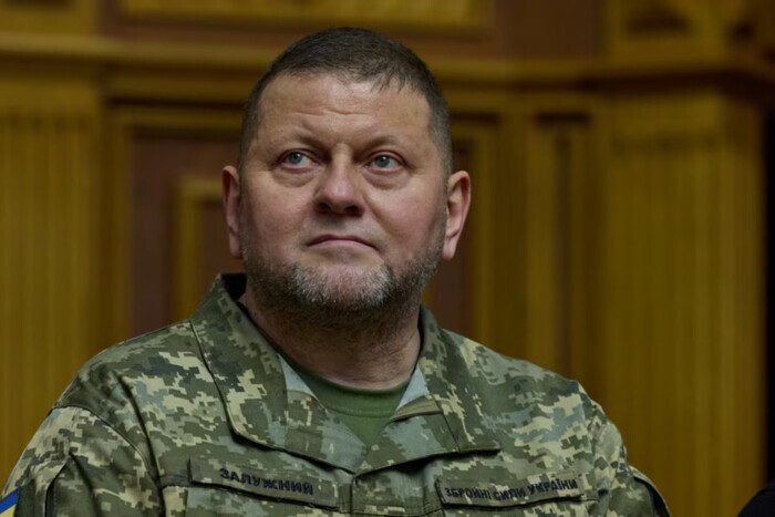 Залужный проинформировал Милли о готовности армии к освобождению украинских территорий