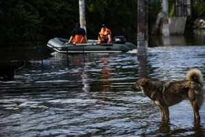 Рівень води у затоплених населених пунктах Херсонщини опустився ще на 64 см – голова ОВА