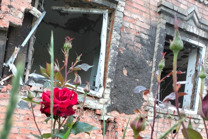 Троянди, бур'яни та руїни: фоторепортаж із деокупованого села на Донеччині 