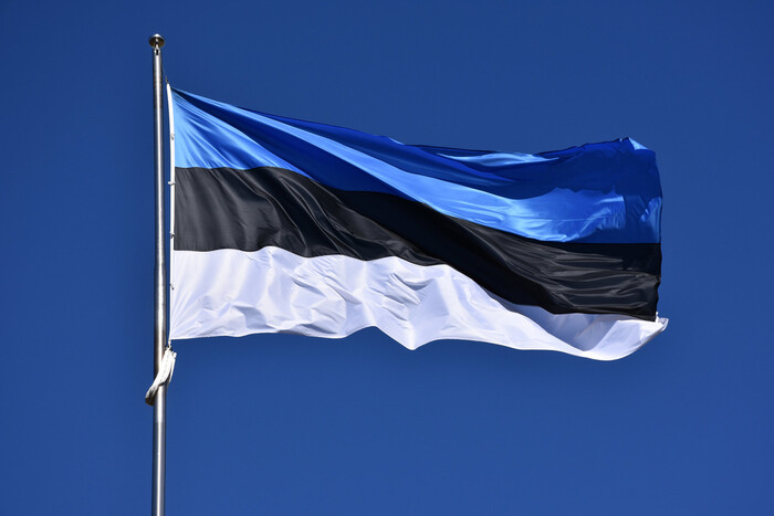 Эстония объявила новый пакет военной помощи Украине