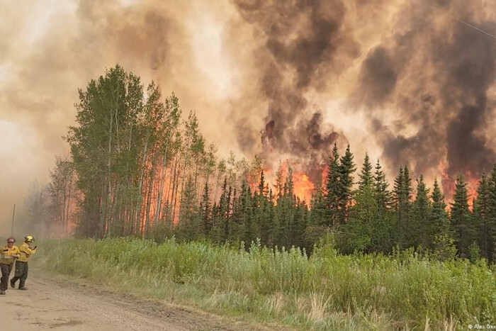 Канада потерпає від лісових пожеж: в країні не вистачає пожежників