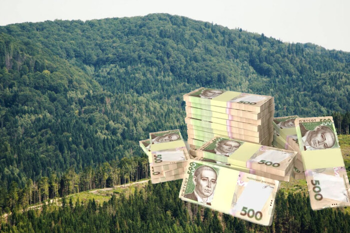5 млн грн на піар та мультик: скандальний тендер держпідприємства «Ліси України»