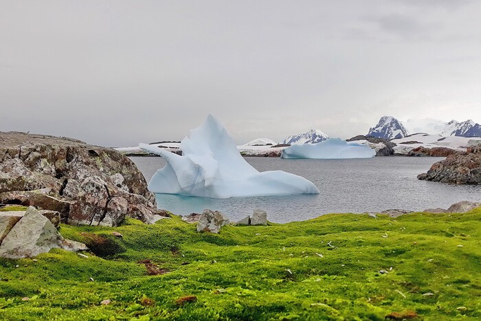 В Антарктиці гаряче: на станції «Академік Вернадський» зафіксовано температурний рекорд