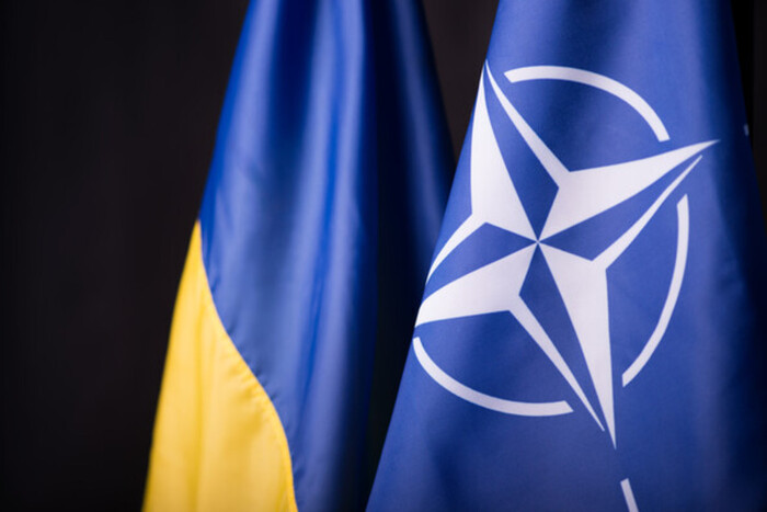 Пригласят ли Украину в НАТО? Депутат объяснил, что сейчас происходит в Вильнюсе