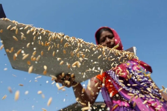 Вдарить по цінах: Індія погрожує введенням ембарго на рис