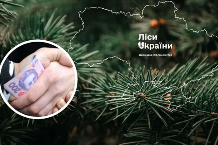 Наслідки скандалу. Держкомпанія «Ліси України» відмовилася від зйомок мультика