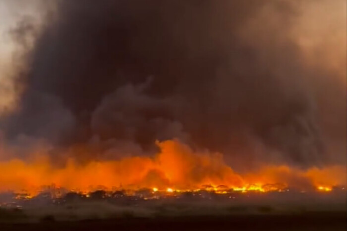 Лісова пожежа на Гаваях: згоріло ціле місто (фото та відео)