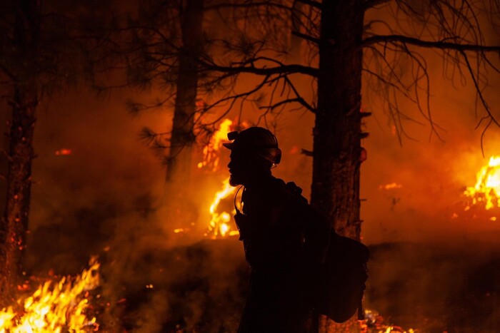 У Каліфорнії штучний інтелект допомагає виявляти лісові пожежі