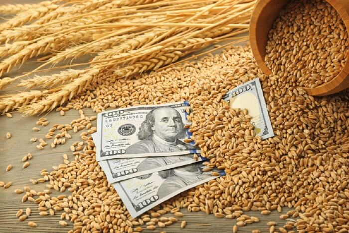 Bild: Росія, Катар і Туреччина готують нову зернову угоду