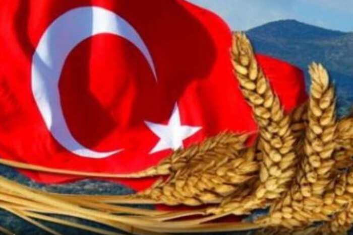 Відновлення «зернової угоди»: Туреччина працює над переговорами