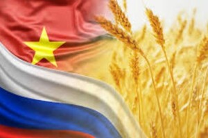 Ще одна країна вирішила не відмовлятись від пшениці з Росії