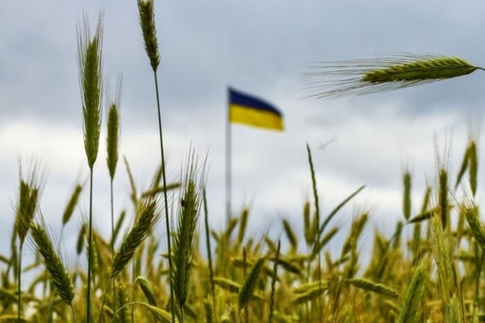 Румунія пообцяла подвоїти транзит українського зерна
