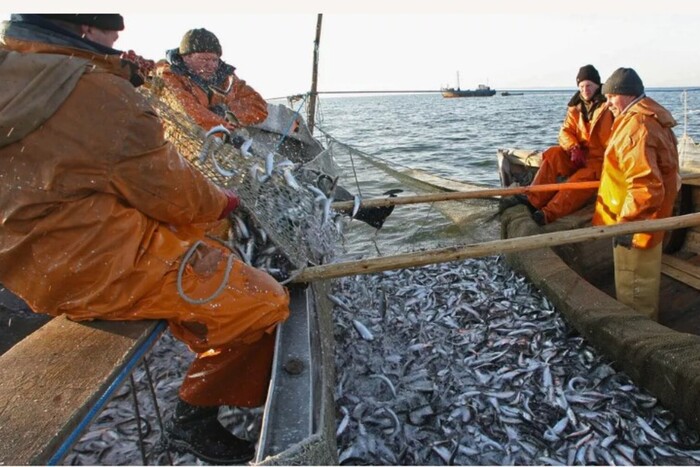 Єврокомісія підготувала неприємний сюрприз для фінських рибалок: вдарить по економіці