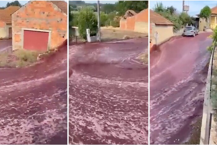 У Португалії вулиці затопило вином (відео)