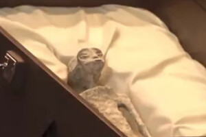 Уфолог показав у парламенті Мексики мумії двох «інопланетян» (фото, відео)