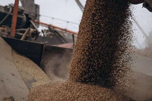 Польща та Ко не готові зняти ембарго на українське зерно – як треба діяти Україні