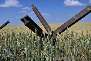 Україна судитиметься з трьома країнами через заборону на зерно – Politico