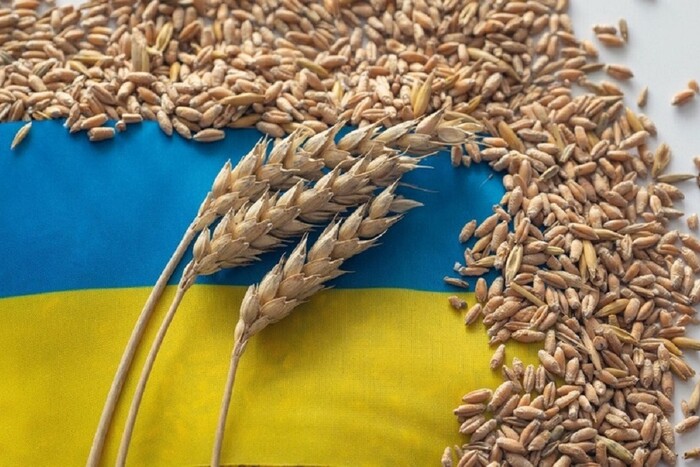 Україна подала позов до СОТ через заборону імпорту зерна. Польща відреагувала
