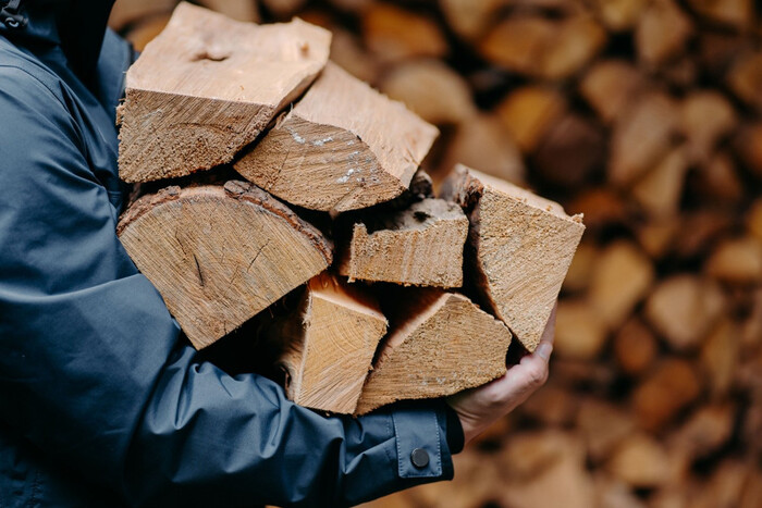 Минэкологии снизит цены на дрова перед отопительным сезоном