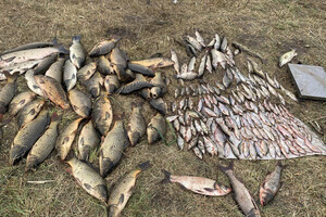 Штраф на майже 700 тис. грн: на Вінниччині рибалки незаконно виловили 218 кг риби