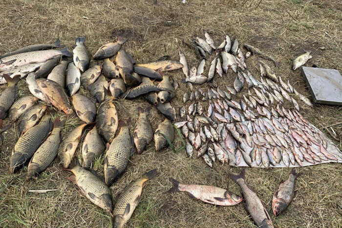 Штраф на почти 700 тысяч грн: в Винницкой области рыбаки незаконно выловили 218 кг рыбы