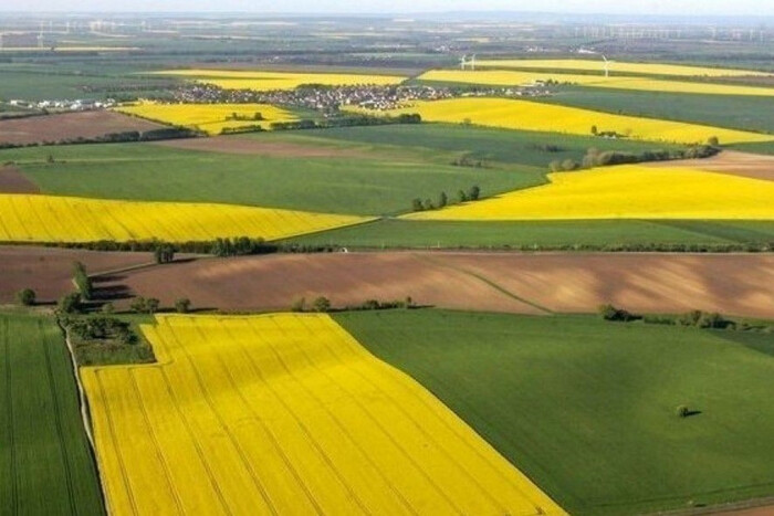 В Украине дорожает земля: в каких регионах цена самая высокая
