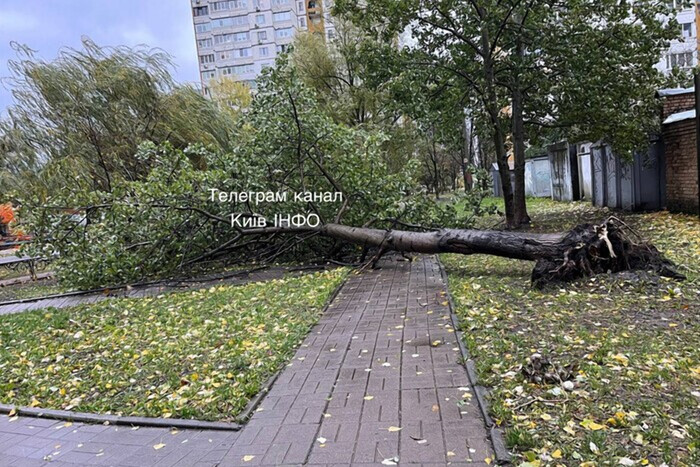 ДТЭК сообщил о разрушительных последствиях урагана в Киевской области