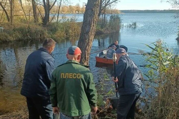 Київ: в озері Алмазне зафіксовано масове вимирання риби