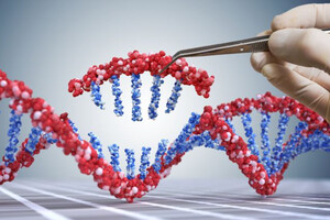 ДНК можна видаляти та розрізати. Схвалено революційний метод лікування захворювань крові