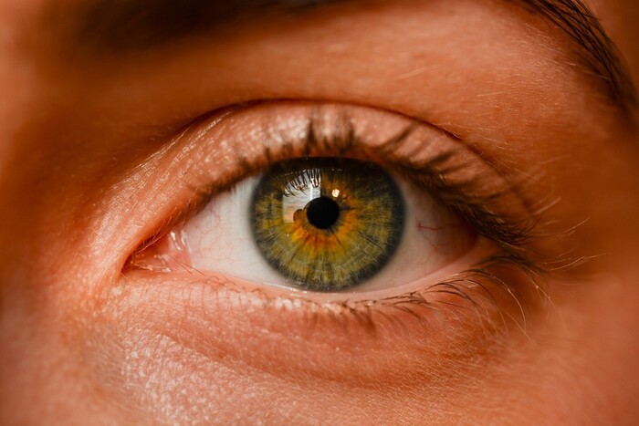 Как мы получаем цвет глаз? Генетик раскрыл увлекательную правду