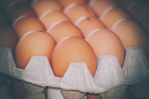 Азербайджан и Турция «спасут» Россию яйцами