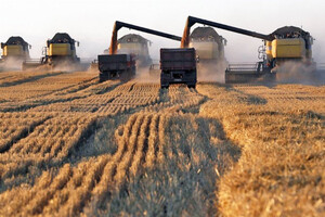 Украина установила аграрный рекорд