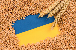 Каким был агроэкспорт Украины в 2023 году