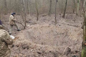 У Києві на території Дарницького лісопаркового господарства впала ракета