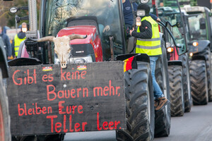 Протесты фермеров создали коллапс на автодорогах Германии (видео)