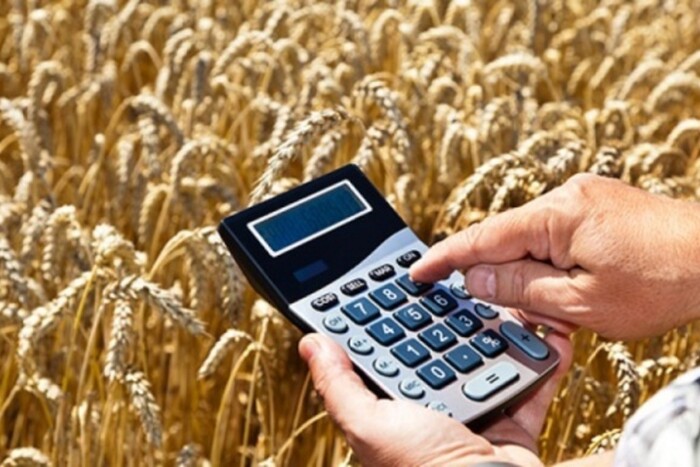 Підтримка сільського господарства: на яку суму видали кредитів для аграріїв