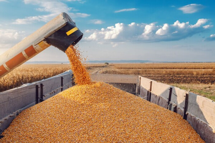 П’ять країн ЄС вимагають від Єврокомісії повернути мито на українське зерно