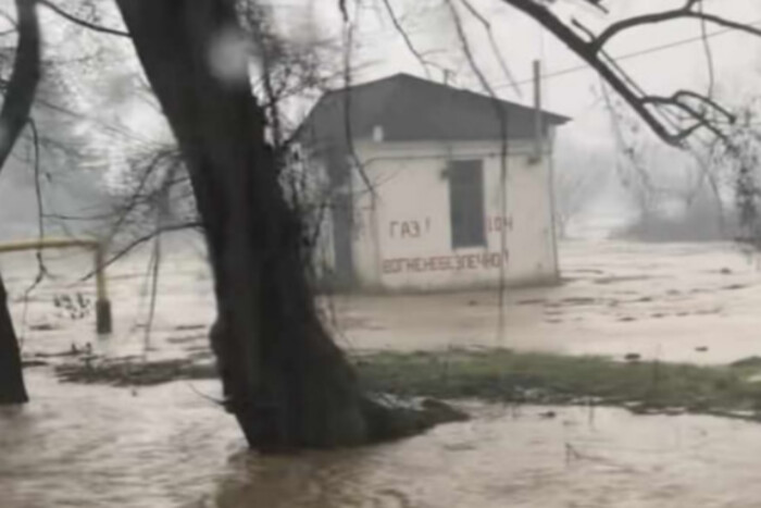 Вода дісталась будинків: внаслідок паводку на заході України затопило село (відео)
