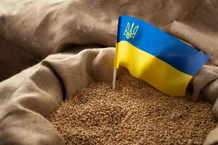 Українське зерно в ЄС: Болгарія наполягає на впровадженні тарифів та мита – ЗМІ