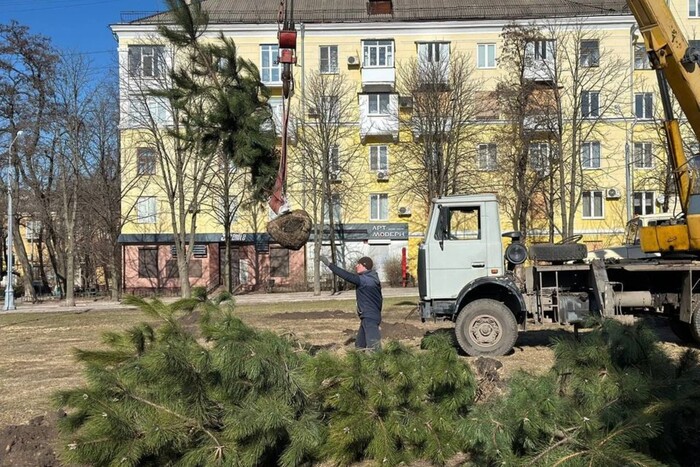 Скандал у Краматорську: жителі обурені заміною дерев у центрі міста