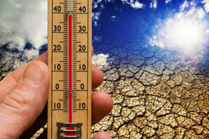 Мир ждет рекордная жара в 2024 году? Исследователи раскрыли главный фактор
