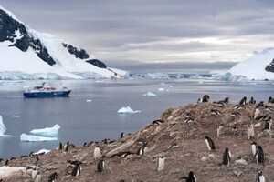 Новий смертельний вірус виявлено поблизу Антарктиди