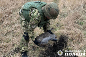 Правоохоронці вилучили бойову частину ракети, яка впала у приватному секторі Солом'янського району